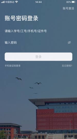 多彩洛职ios图2