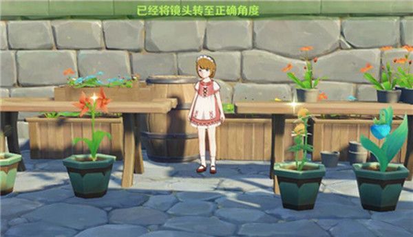 原神芙萝拉留影任务攻略，给芙罗拉留影完成步骤攻略[多图]图片2