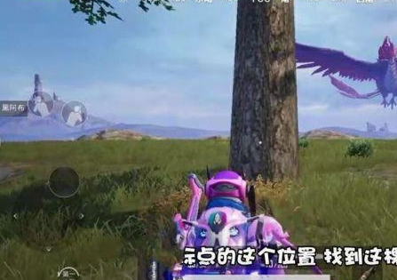 和平精英炸水花打卡地怎么去？炸水花位置图文一览[多图]