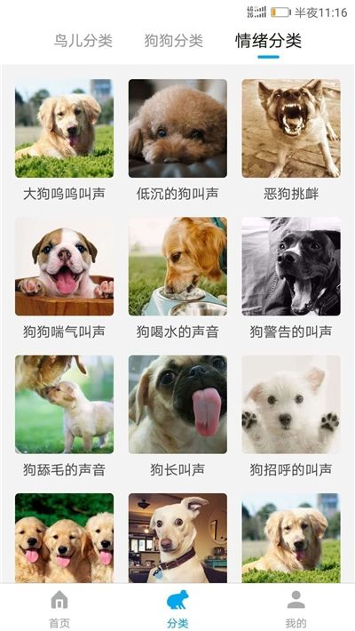 所有动物翻译器(中文)图2