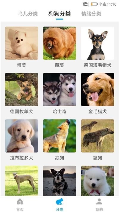 所有动物翻译器(中文)图3