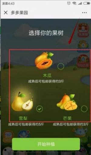 果园多多红包版图2