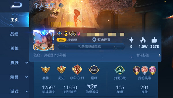 王者荣耀主页星星怎么点亮？主页四角星意思介绍[多图]