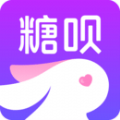 糖呗婚恋网视频相亲交友平台软件app清爽版下载安装 v1.0