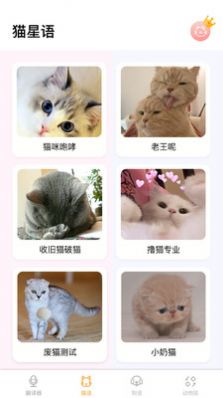 翻译猫语app图3