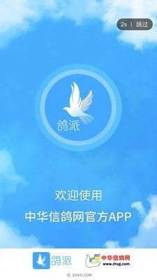 鸽派app图3