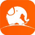 鲤象生活app安卓版 v1.0.0