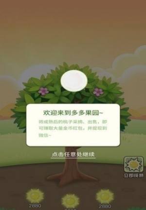 快乐水果园下载赚金版手游图片1