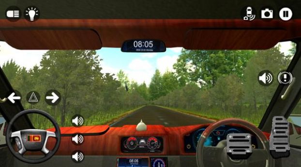 斯里兰卡驾驶模拟器游戏图3