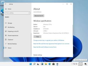 windows11系统正版官方安装图片3