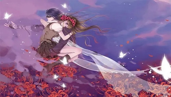 ����С˵app�ϼ�