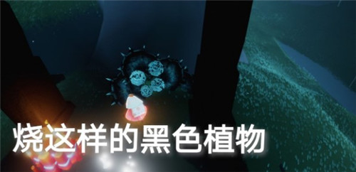 光遇6.7任务攻略大全，绿色光芒及仙乡金塔冥想位置图文一览[多图]图片4