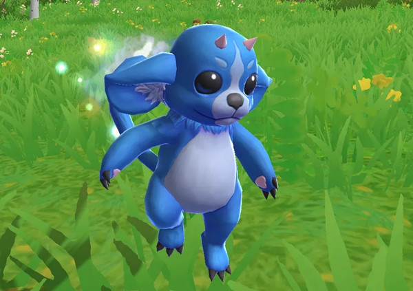 创造与魔法淘气仙灵位置大全 淘气仙灵刷新位置坐标汇总[多图]