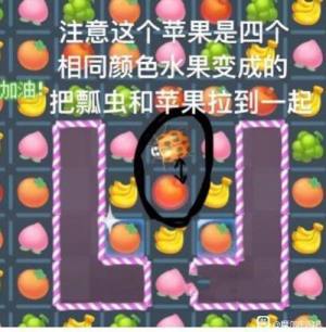 摩尔庄园草莓包怎么得？草莓包占卜100%获取方法图文一览图片1