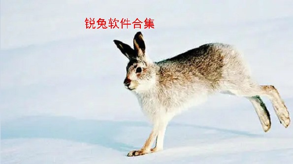 ���������ϼ�