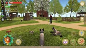 模拟猫咪农场动物游戏图3
