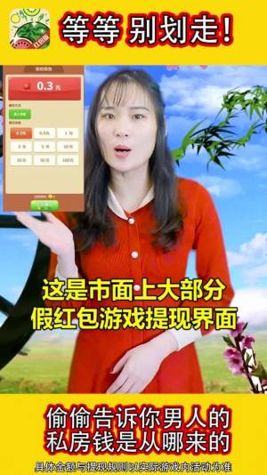 西瓜碰碰乐红包版图1