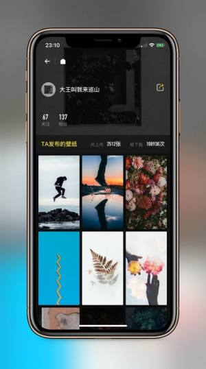 纸塘壁纸官方最新版图片1