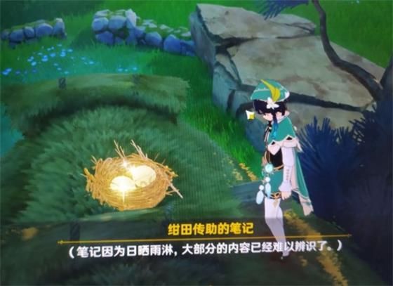 原神绀田事话任务攻略，绀田事话线索收集流程图文一览[多图]图片7