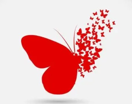 蝴蝶标志看视频的app大全_有蝴蝶标志的视频软件_蝴蝶标志的app推荐