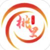 桃里资讯官方版app V1.0