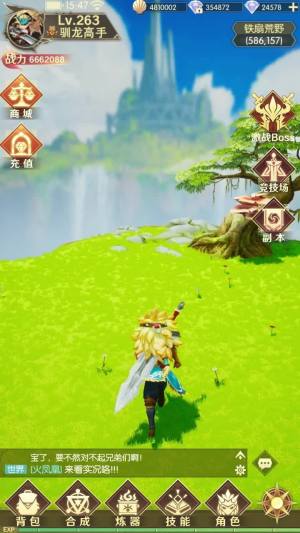 猎人物语游戏安卓版图2