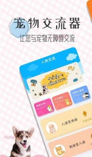 猫语翻译宝app图1