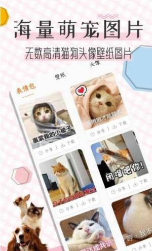 猫语翻译宝app图3