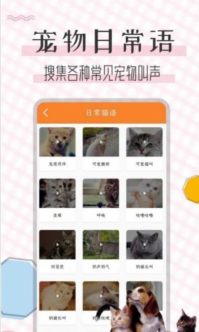 猫语翻译宝app图2