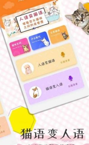 猫语翻译宝安卓版app下载图片1