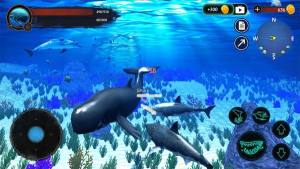 抹香鲸模拟器大王乌贼模拟器游戏图1