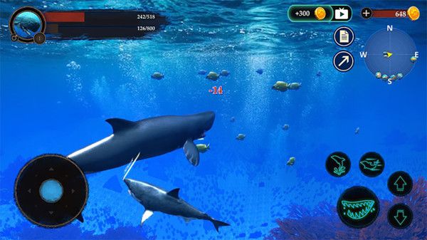 抹香鲸模拟器大王乌贼模拟器游戏图3