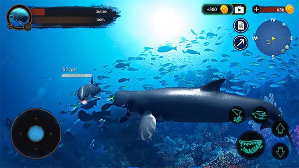 抹香鲸模拟器大王乌贼模拟器游戏官方最新版图片1