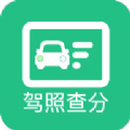 驾驶证分数查询官方app下载 v1.0.0