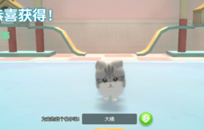 养了个猫联机版-养了个猫最新版-养了个猫ios