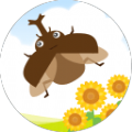 我和甲虫的暑假安卓版游戏 v1.7