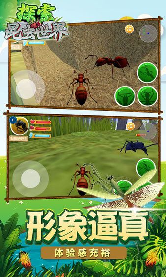 昆虫世界生存指南中文版图2
