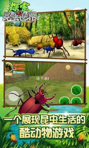 昆虫世界生存指南中文版图3