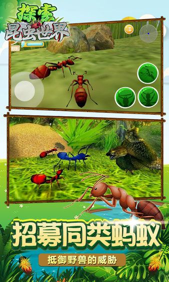 昆虫世界生存指南手机游戏攻略完整版图片1