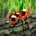 昆虫世界生存指南手机游戏攻略完整版 v1.0