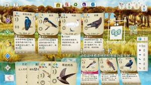 Wingspan中文版图2