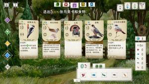 Wingspan游戏官方中文版图片1