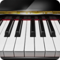 摸摸鱼钢琴弹钢琴和歌曲游戏安卓版 v1.36