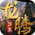 灵域修仙之龙腾万里