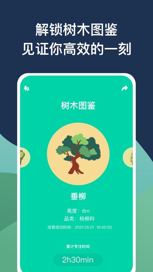 效率森林app图2