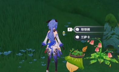 原神愿为一炊之梦攻略    3.0支线任务愿为一炊之梦怎么过图片10