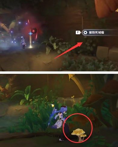 原神愿为一炊之梦攻略    3.0支线任务愿为一炊之梦怎么过图片6