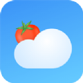 番茄天气预报2022最新版安装 v1.0