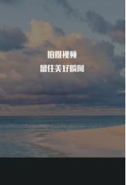 手机视频编辑王app安卓最新版
