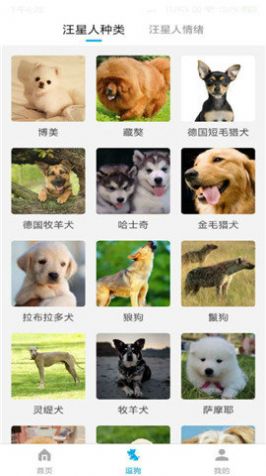 动物翻译器中文版免费图3